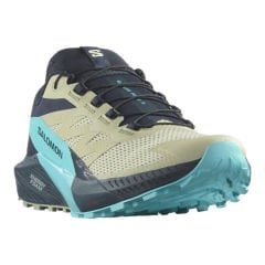 Salomon Sense Ride 5 Erkek Koşu Ayakkabısı