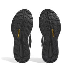 Adidas Terrex Free Hiker 2.0 Gore-Tex Kadın Trekking Ayakkabısı