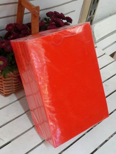 25'Li Kırmızı Hediyelik Karton Çanta Poşet 17 x 26 Cm