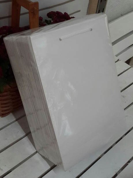 25'Li Beyaz Hediyelik Karton Poşet / Çanta 17 x 26 Cm