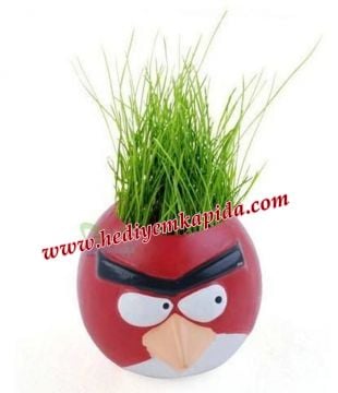 Angry Birds Çim Adam