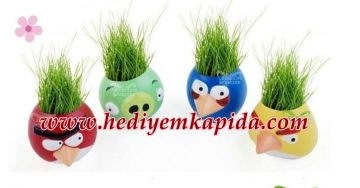 Angry Birds Çim Adam