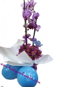 Orkide Aranjman Balon