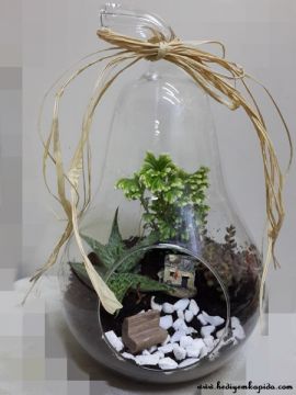 Terrarium Saklı Bahçe