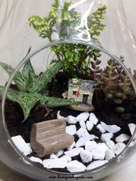 Terrarium Saklı Bahçe