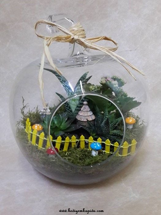 Camdan Dünya Terrarium