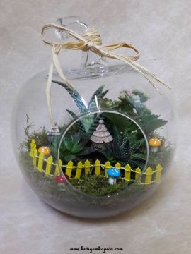 Camdan Dünya Terrarium