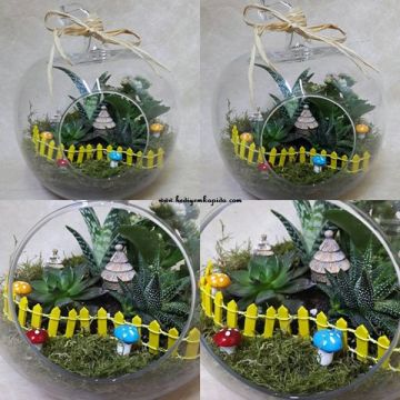 Camdan Dünya Terrarium