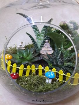 Camdan Dünya Terrarium