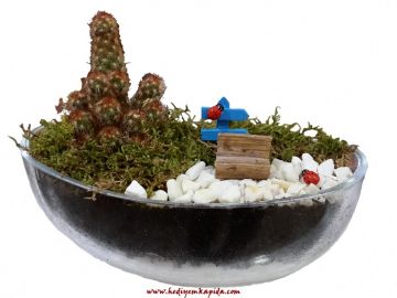 Terrarium mini Bahçe