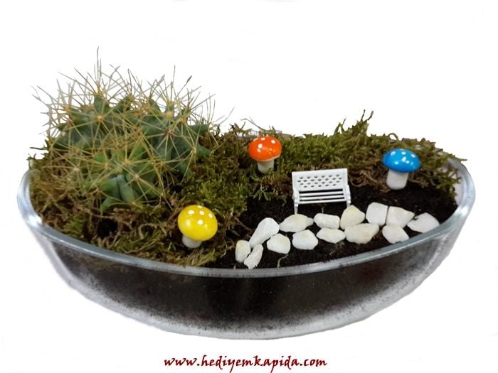 Terrarium Mini Park