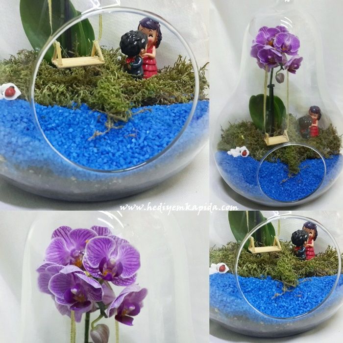 Orkide Cam Bahçem