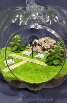 Terrarium Minyatür Bahçe