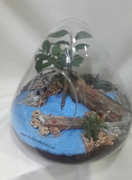 Terrarium Fantastic Bahçe