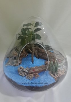 Terrarium Fantastic Bahçe