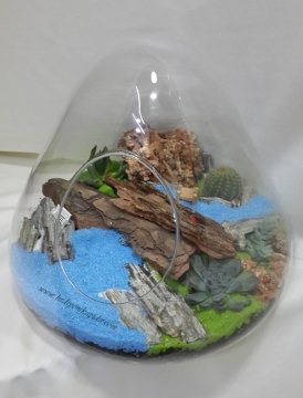 Terrarium Orman ve Göl