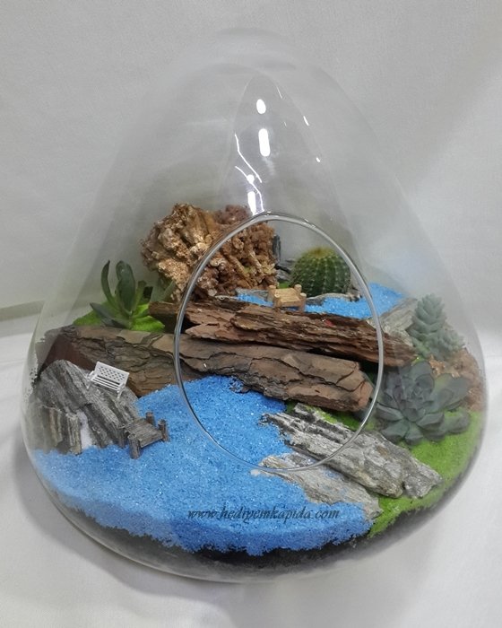 Terrarium Orman ve Göl