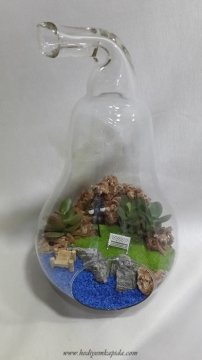 Terrarium Yanlızlar Rıhtımı