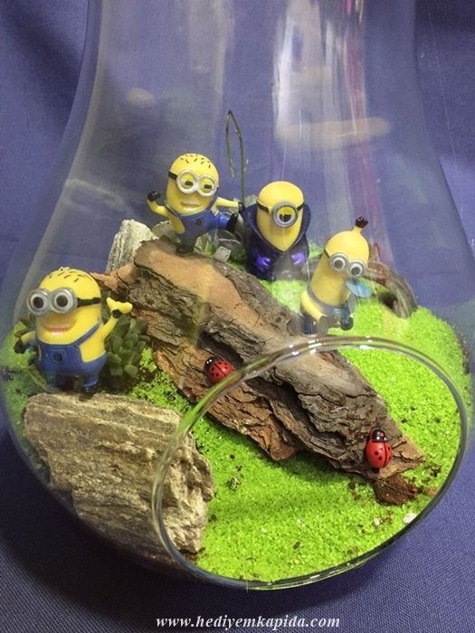 Minyonlar Terrarium