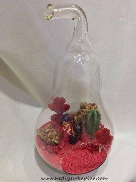 14 Şubat özel Terrarium