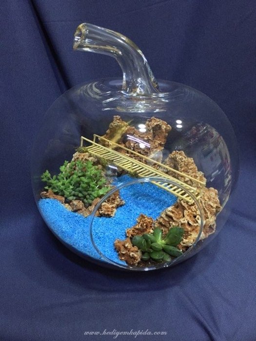 Terrarium Kaya Bahçem