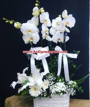 Beyaz Orkide Aranjman Balıkesir Çiçek