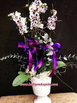 Orkide Aranjman Balıkesir Çiçekçi