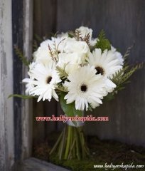 Beyaz Rüya Gelin Çiçeği