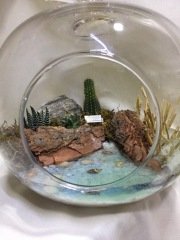 Terrarium