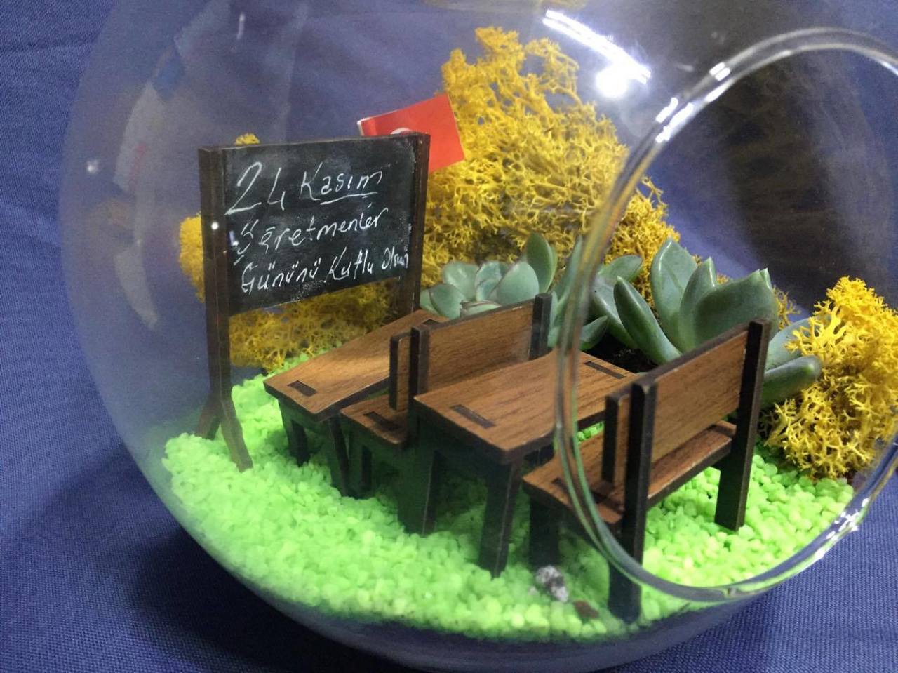 Öğretmenler günü Terrarium