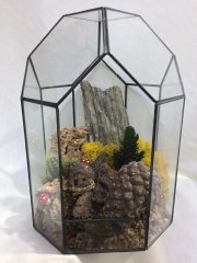 Geometrik Terrarium