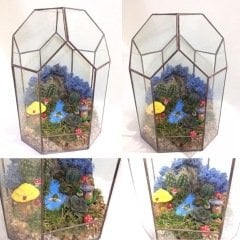 Geometrik Terrarium Balıkesir