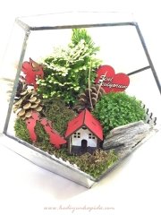 Sevgililer Günü Terrarium