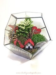 Sevgililer Günü Terrarium