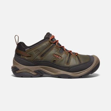 Keen Circadia KeenDryGtx Su Geçirmez Erkek Ayakkabı Black Olive/Potters Clay 1026774