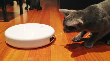 PetSafe FroliCat Flik Kedi Oyuncağı