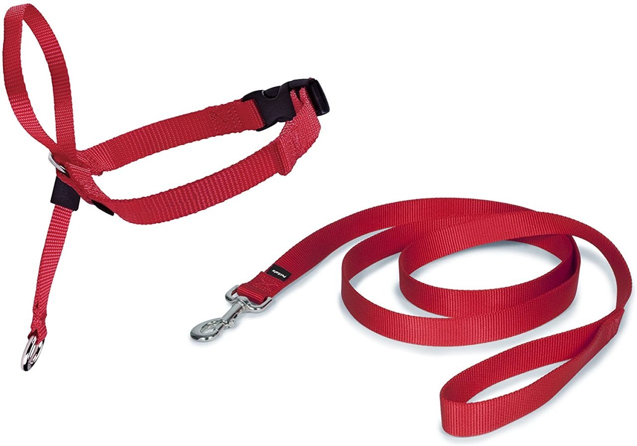 Easy Walk Headcollar Köpek Kafalıklı Tasma Kırmızı