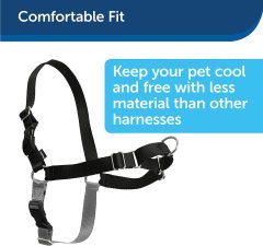 Easy Walk Harness Siyah Köpek Göğüs Tasması