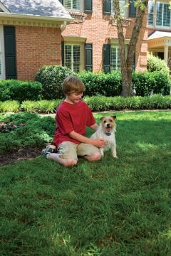 PetSafe Küçük Köpek Spreyli Eğitim Tasma PBC19-11796