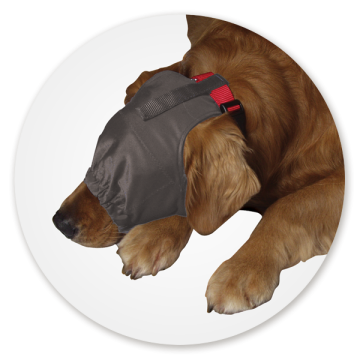 L Thundershirt Köpekler için Sakinleştirici Başlık