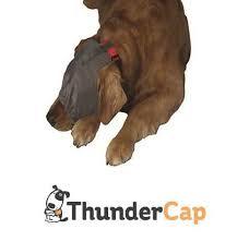 L Thundershirt Köpekler için Sakinleştirici Başlık
