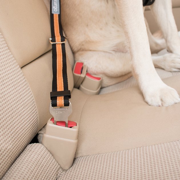 PetSafe Kurgo Direct To Seat Belt Emniyet Kemeri Siyah/Kavuniçi K01244