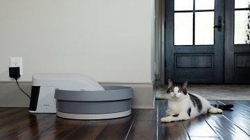 PetSafe Simply Clean Otomatik Kedi Tuvaleti Karbon Filtre 3'lü