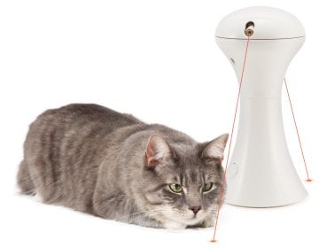 PetSafe Frolicat Multilaser PTY19-16225