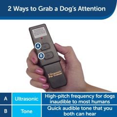 PetSafe Tasmasız Uzaktan Kontrol Köpek Eğitim Aracı 10 m. PUPT-100-19