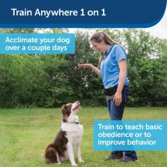 PetSafe Tasmasız Uzaktan Kontrol Köpek Eğitim Aracı 10 m. PUPT-100-19