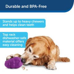 PetSafe Busy Buddy Sincap Dostum Oyuncak S BB-SQRL-S-11