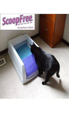 ScoopFree Kedi Tuvaleti