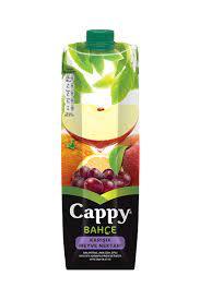 Cappy Karışık Meyve Nektari 1 LT