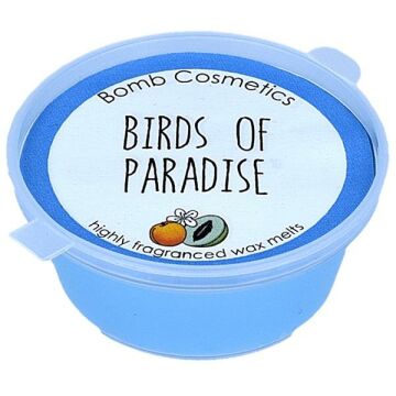 Birds Of Paradise Mini Melt Oda Kokusu